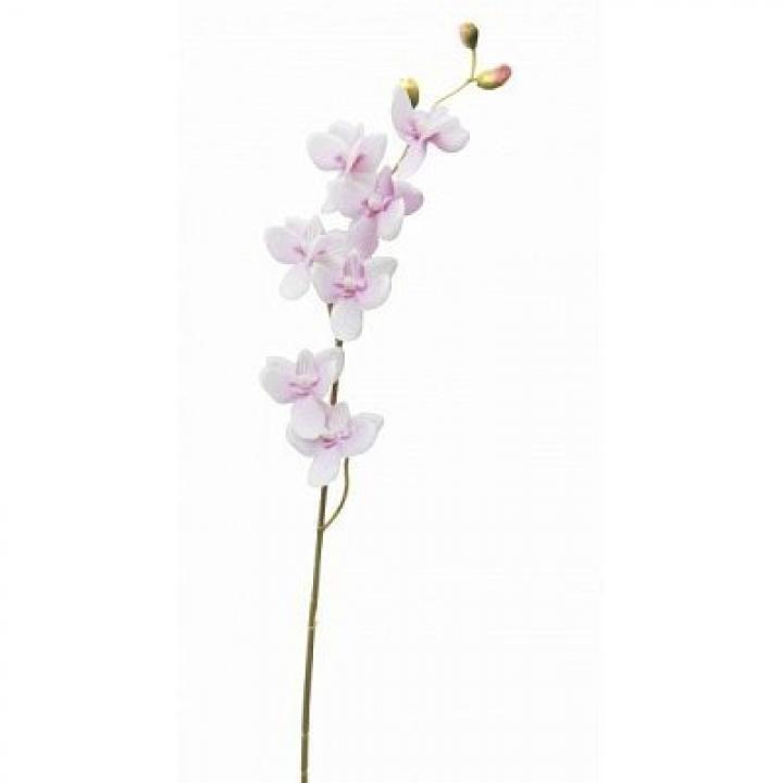 242908 Цветок искусственный "Орхидея", L8 W5 H77 см