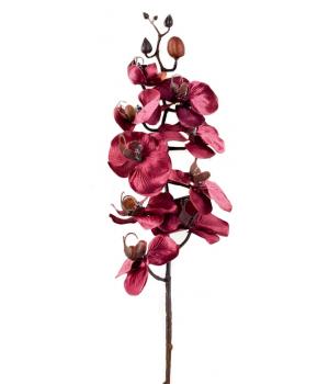 709-125 Орхидея (бордо) 73см